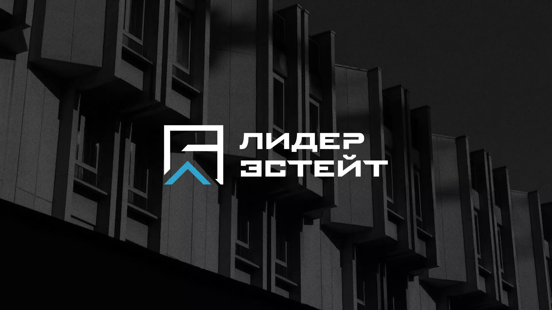 Разработка логотипа агентства недвижимости «Лидер Эстейт» в Апрелевке