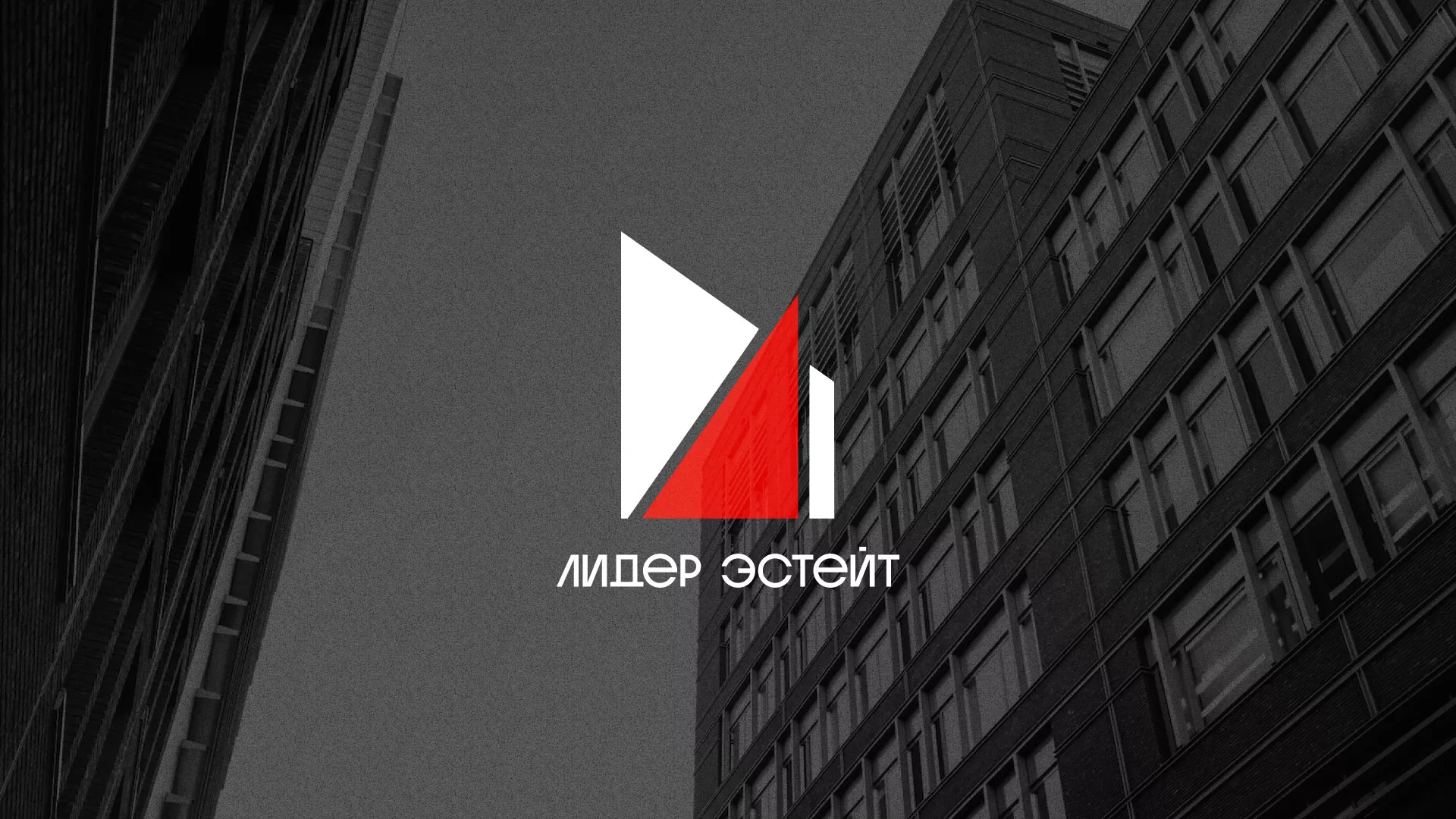 Сделали логотип для агентства недвижимости «Лидер Эстейт» в Апрелевке